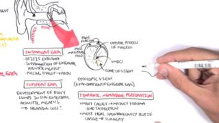 Anatomy – Middle Ear