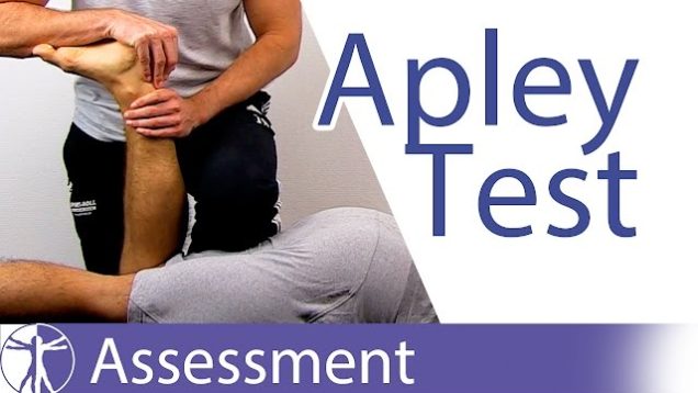 Apley’s Test⎟Meniscus Damage