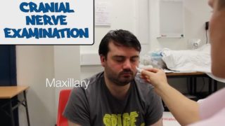 Cranial Nerve - Physical Exam Cranial Nerve Examination