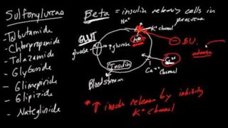 Diabetes Drugs Made Simple