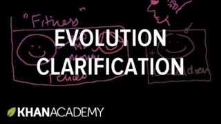 Evolution Clarification