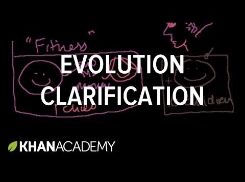 Evolution Clarification