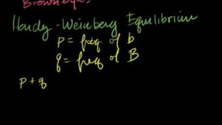 Hardy-Weinberg Principle