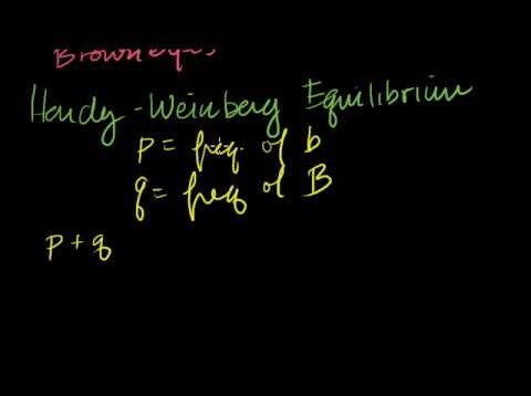 Hardy-Weinberg Principle