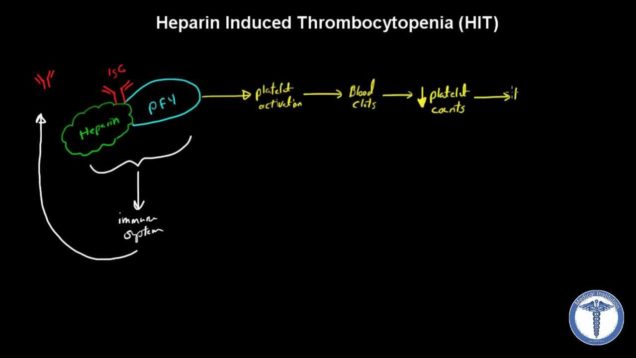 Heparin Induced Thrombocytopenia (HIT)