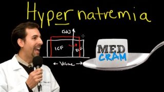 Hypernatremia Explained Clearly by MedCram.com