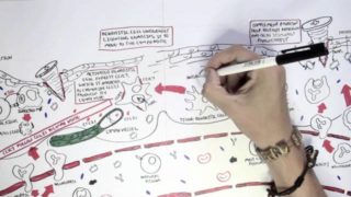 Immunology Map VII – Adaptive (Acquired) Immunity