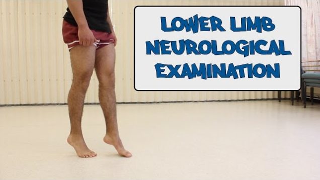 Lower Limb Neurological Examination – OSCE guide (New Version)