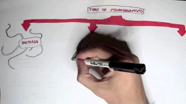 Microbiology – Overview