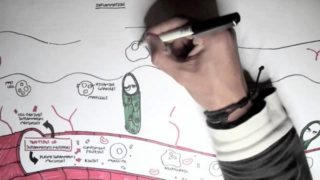 Part I – Inflammation