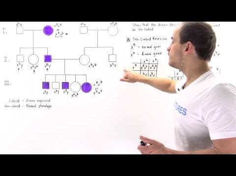 Pedigree Analysis for Autosomal Dominant Traits