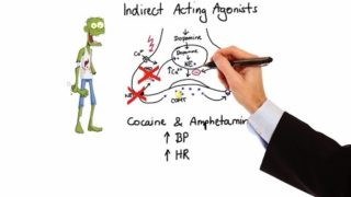 Pharmacology – ADRENERGIC RECEPTORS & AGONISTS (MADE EASY)