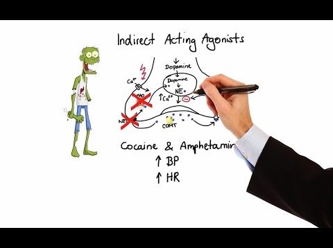 Pharmacology – ADRENERGIC RECEPTORS & AGONISTS (MADE EASY)