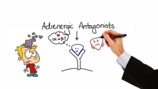 Pharmacology – ALPHA & BETA BLOCKERS – ADRENERGIC ANTAGONISTS ( MADE EASY)