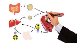 Pharmacology – DRUGS FOR HYPERLIPIDEMIA (MADE EASY)