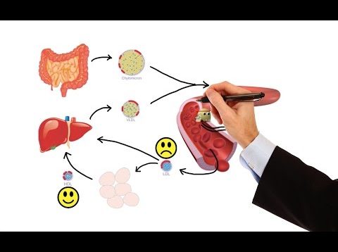 Pharmacology – DRUGS FOR HYPERLIPIDEMIA (MADE EASY)