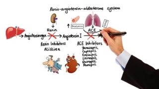 Pharmacology – HYPERTENSION & ANTIHYPERTENSIVES (MADE EASY)