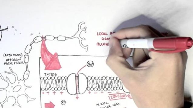 Pharmacology – Local Anaesthetic