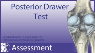 Posterior Drawer Test | Posterior Cruciate Ligament