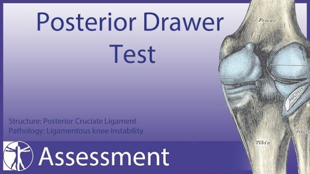 Posterior Drawer Test | Posterior Cruciate Ligament