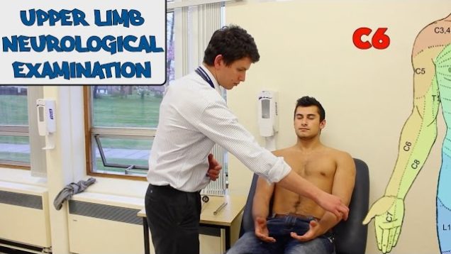 Upper Limb Neurological Examination – OSCE Guide (New Version)