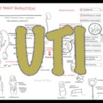 Urinary Tract Infection - Overview