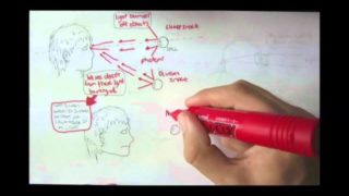 Vision Physiology Introduction