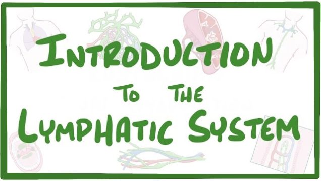 Introduction to the Lymphatic System