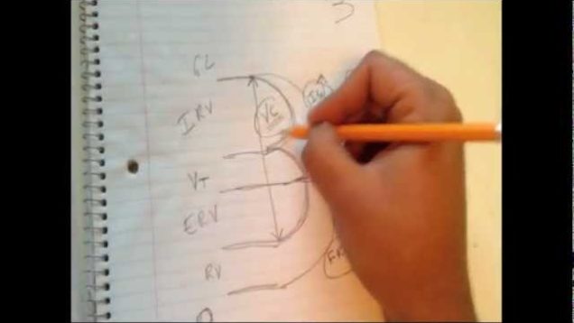 Lung Volume Mnemonic