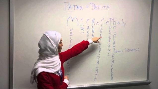 Patau Syndrome  Mnemonic