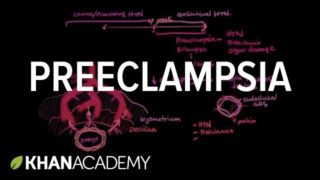 Preeclampsia | Reproductive system physiology | NCLEX-RN | Khan Academy