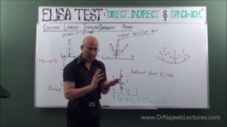 Elisa Test – Direct, Indirect & Sandwich