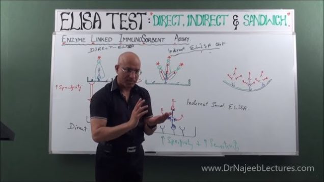 Elisa Test – Direct, Indirect & Sandwich