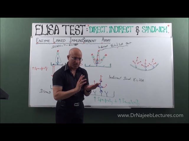 Elisa Test - Direct, Indirect & Sandwich - 2025