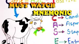 Catalase Positive Organisms Mnemonic, An Interesting Mnmonic for NEET-PG & Medical Students