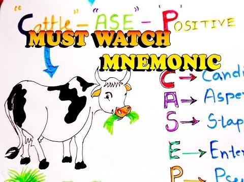 Catalase Positive Organisms Mnemonic, An Interesting Mnmonic for NEET-PG & Medical Students