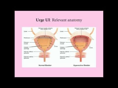 Urge Urinary Incontinence – CRASH! Medical Review Series