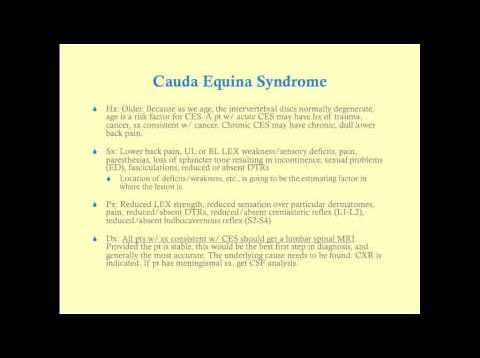 Cauda Equina Syndrome – CRASH! Medical Review Series