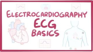Electrocardiography (ECG/EKG) – basics