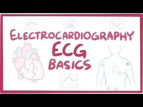 Electrocardiography (ECG/EKG) – basics