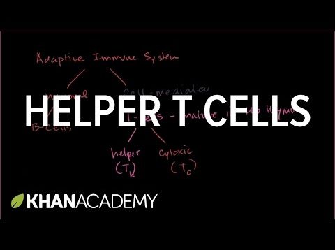Helper T cells | Immune system physiology | NCLEX-RN | Khan Academy