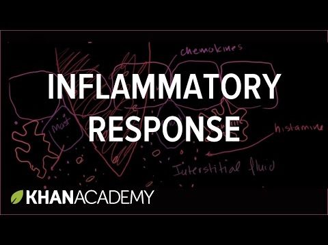 Inflammatory Response