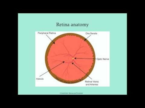 Retinopathy of Prematurity – CRASH! Medical Review Series