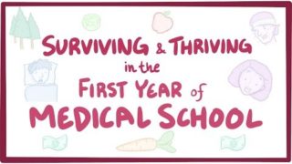 Surviving & thriving in the first year of medical school