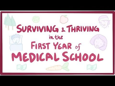 Surviving & thriving in the first year of medical school