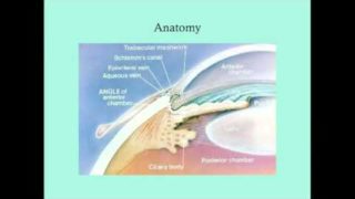 Uveitis – CRASH! Medical Review Series