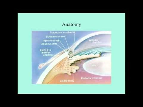 Uveitis – CRASH! Medical Review Series