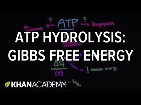 ATP hydrolysis: Gibbs free energy | Biomolecules | MCAT | Khan Academy