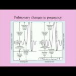 Basic Physiology of Pregnancy - CRASH! Medical Review Series
