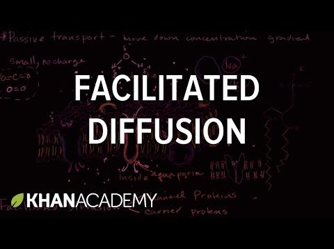 Facilitated diffusion | Membranes and transport | Biology | Khan Academy